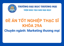 Đề án tốt nghiệp Thạc sĩ khóa 29A - Chuyên ngành: Marketing thương mại